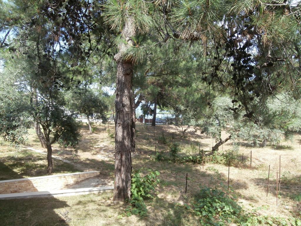 Villa Barouti كوينيرا المظهر الخارجي الصورة